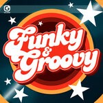 cover: Frederic Vitani - Funky & Groovy