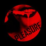 cover: Lost Minds (de) - Pleasure