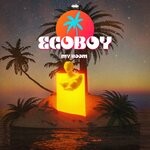 cover: Ecoboy - My Room