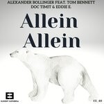 cover: Various - Allein Allein