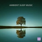 cover: Various - Ambient Sleep Music