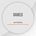 cover: Igor Pumphonia - Damelo