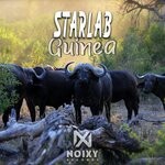 cover: Starlab - Guinea