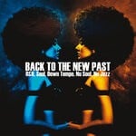 cover: Various - Back To The New Past