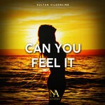 cover: Sultan Vilsonline - Can You Feel It