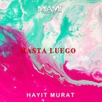 cover: Hayit Murat - Hasta Luego (Original Mix)