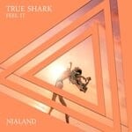 cover: True Shark - Feel It