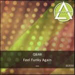 cover: Q&nb - Feel Funky Again