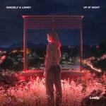 cover: Linney|Sineself - Up At Night