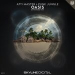 cover: Atti Master|Punk Jungle - Oasis