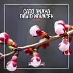 cover: Cato Anaya|David Novacek - Aguanile