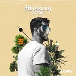 cover: Troves - Missing