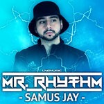 cover: Samus Jay - Mr Rhythm