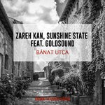 cover: Goldsound|Zareh Kan - Banat Utca (Darwin Techhouse Rework)