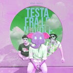 cover: Alan Spicy - Testa Fra Le Nuvole