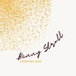 cover: Beny Stroll - Chasing Sun