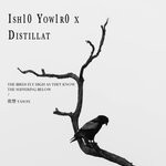 cover: Distillat|Ish10 Yow1r0 - The Birds Fly High As They Know The Suffering Below