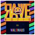 cover: Waldhaus - Rave Muzik 055