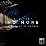 cover: David Blank - No More