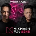 cover: Various - Mixmash 246