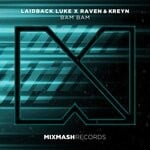 cover: Laidback Luke|Raven & Kreyn - Bam Bam