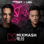 cover: Various - Mixmash 249