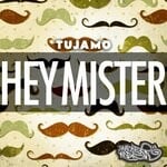 cover: Tujamo - Hey Mister