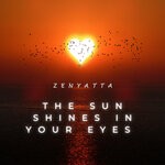 cover: Zenyatta - The Sun Shines In Your Eyes