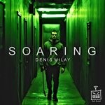 cover: Denis Milay - Soaring