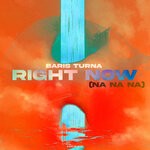 cover: Baris Turna - Right Now (Na Na Na)