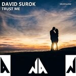 cover: David Surok - Trust Me