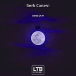 cover: Berk Canevi - Deep Dive