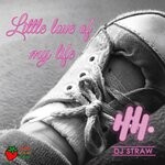 cover: Dj Straw - Little Love Of My Life (Original Mix)