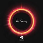 cover: Dj Straw - I'm Sorry