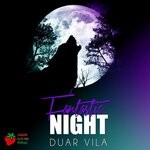 cover: Duar Vila - Fantastic Night