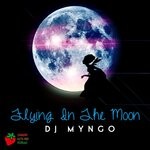 cover: Dj Myngo - Flying In The Moon