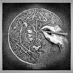 cover: Hex Cougar - Sacrifice