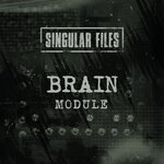 cover: Brain - Module