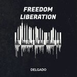 cover: Delgado - Freedom Liberation