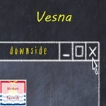 cover: Vesna - Downside