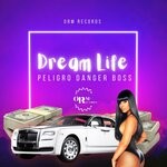 cover: Peligru Danger Boss - Dream Life