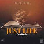 cover: Don Medz - Just Life