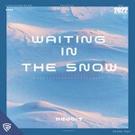 cover: Nevoit - Waiting In The Snow