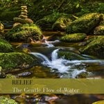 cover: Relief - The Gentle Flow Of Water