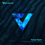 cover: Kasey Taylor - The Night Ends Here/Gizmo