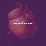 cover: Kuzey - Because Of You