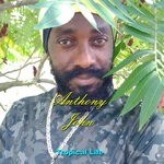 cover: Anthony John - Tropical Life