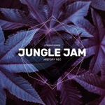 cover: Stefano Sorge - Jungle Jam