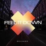 cover: Delgado - Feel It Down