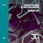 cover: Dario Nunez|Javi Palmero - Hands Up